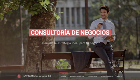 Plantilla - Consultoría de Negocios