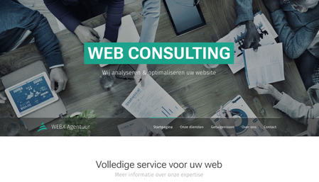 Web Consulting sjabloon