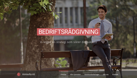 Mal for forretningskonsulent