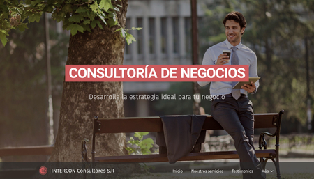 Plantilla - Consultoría de Negocios
