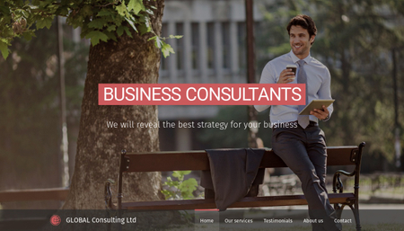 Business Consultants Template