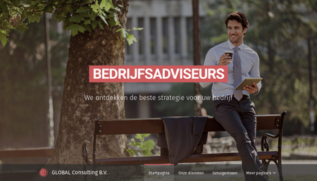 Bedrijfsadviseurs sjabloon