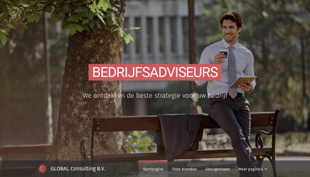 Bedrijfsadviseurs sjabloon