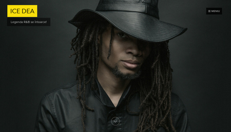 Șablon: Cântăreț