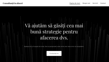 Șablon: Consultanță în afaceri