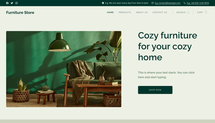 Furniture Store Template - Website template