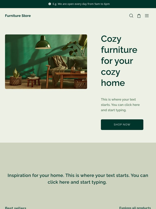 Furniture Store Template site template