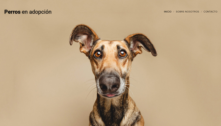 Plantilla - Perros en adopción