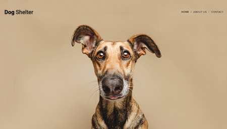 Dog Shelter Template