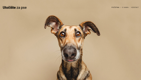 Predložak Utočište za pse