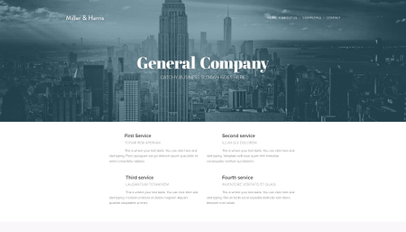 Template: Our Company