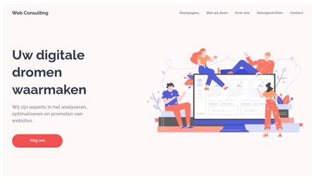 Web Consulting Website Sjabloon