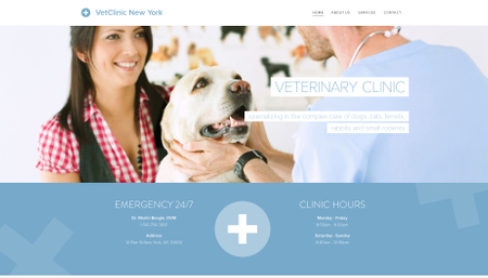 Veterinary Clinic Template