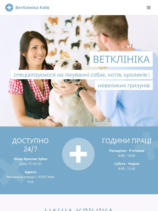 Шаблон ВетКлініка - Шаблон Місто - Webnode
