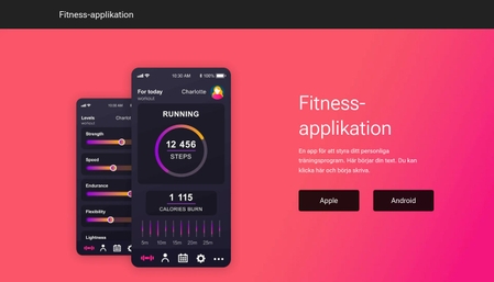 Mall för fitness-applikation