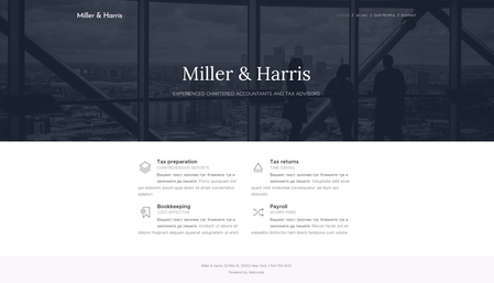 Website template