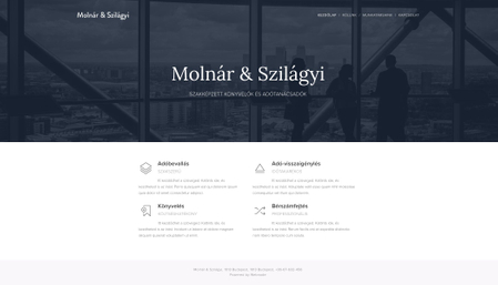 Adótanácsadás sablon