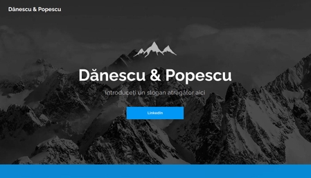 Șablon: Consultanță în afaceri