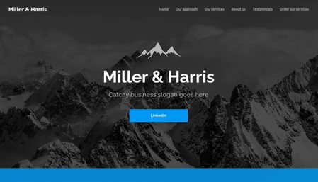 Business Consultants Website Template