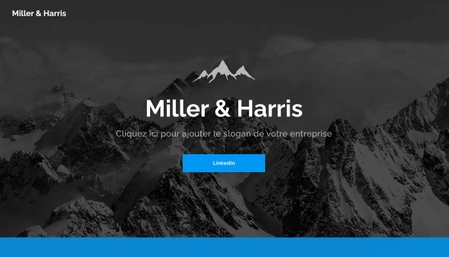 Modèle : Conseiller en affaires