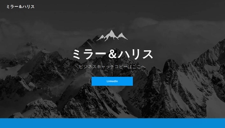 ビジネスコンサルタントテンプレート