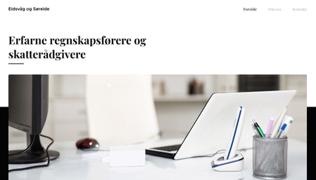 Regnskapsselskap mal