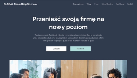 Standardowa strona firmowa