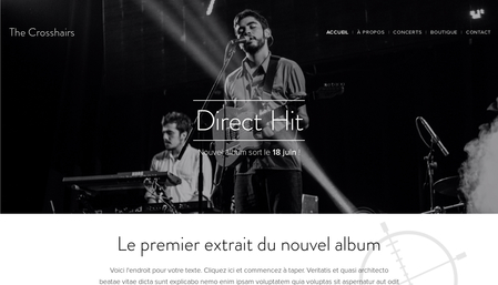 Template Groupe de musique