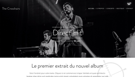 Template Groupe de musique