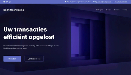 Bedrijfsadviseurs Sjabloon