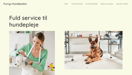 Hjemmeside skabelon