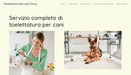 Modello - Toelettatura per cani