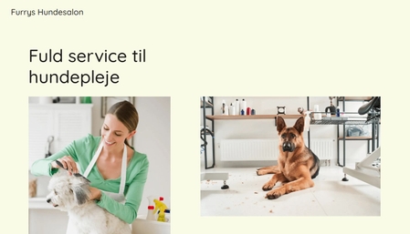 Hjemmeside skabelon