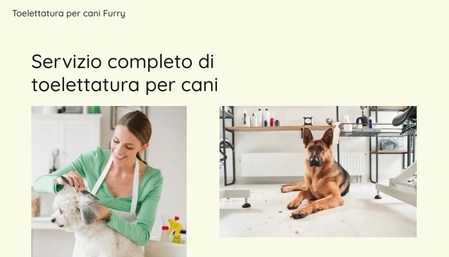 Modello - Toelettatura per cani