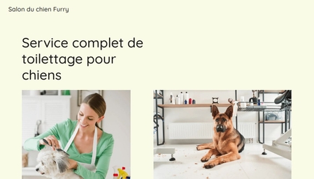 Modèle : Salon du chien