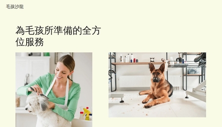 毛小孩沙龍模板