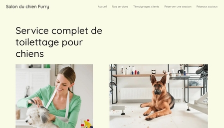 Modèle : Salon du chien